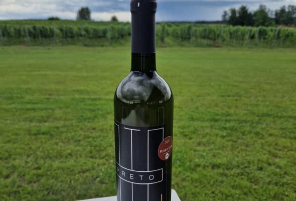 Preto Souvegnier Gris, wino wytrawne. Trzecie miejsce w konkursie winiarskim Polskie Korki.