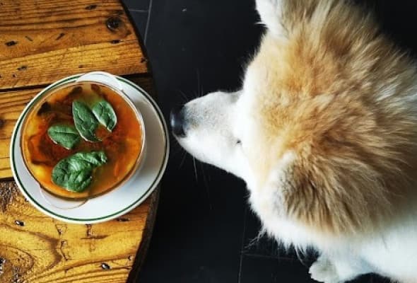 Zupa Roku - hiszpańska z chorizo