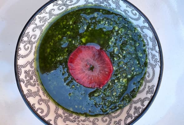 PESTO Z CZOSNKU NIEDŹWIEDZIEGO