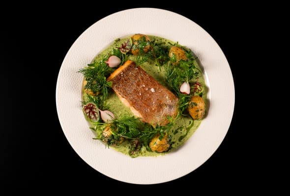 Pstrąg łososiowy z Pomorza