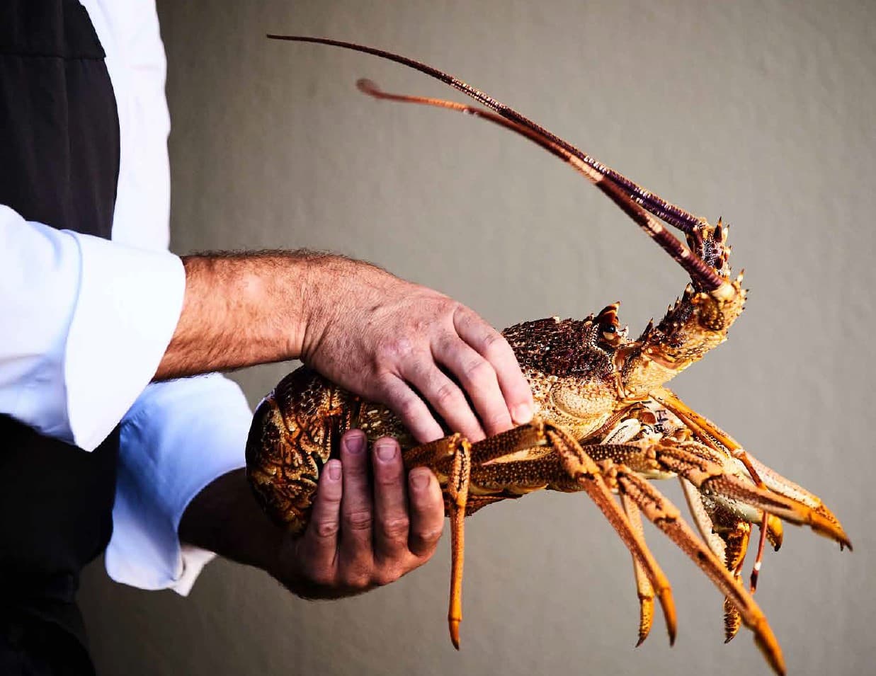 FOOD & FRIENDS wine pairing